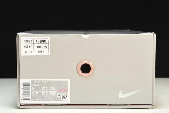 Stocking Stuffer  LeBron 20  FJ4955-300 Nike 0318